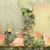 paintings