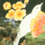 paintings